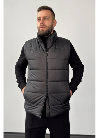 Жилет утепленный, цвет Черный Nenka (367831839)