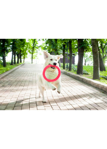 Кільце для апортування PitchDog діаметр 20 см (4823089302430) Collar (354702618)