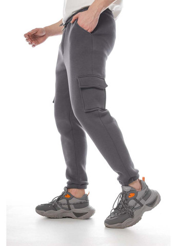 Темно-серые спортивные демисезонные брюки Intruder