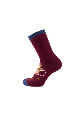 Бордові набір (5 шт.) жіночих шкарпеток Duna (305849512)