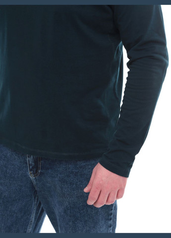 Чоловічий лонгслів зелений прямий Jean Piere Пряма однотонний зелений повсякденні бавовна