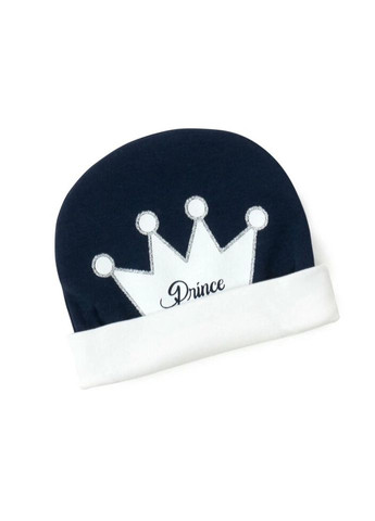 Комбінований демісезонний набір дитячого одягу prince (14827-68b-blue) Miniworld