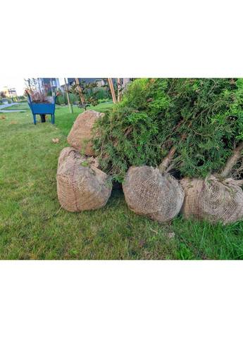 Мішковина джутова 200 г/м2 Jutix (356775249)