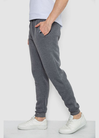 Спортивні штани чоловічі на флісі,, Ager (317429611)