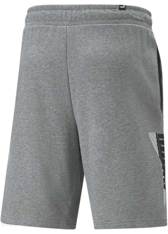 Шорты мужские Puma (330126351)