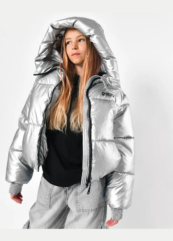 Серебряный зимний Пуховик X-Woyz