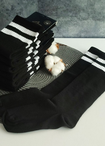 Гольфи високі бавовняні Житомир упаковка 6 пар (753 WL) р.36-40 чорний Lomani (328949288)