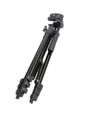 Штатив WT-3120 No Brand (322394972)