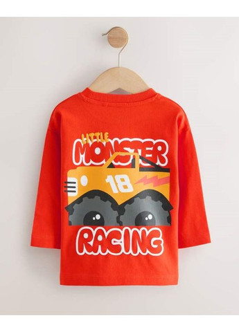 Разноцветный демисезонный лонгслив Next Trend