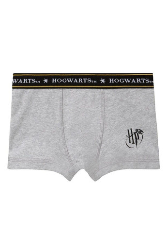 Кролики боксеры набор 2 шт Гарри Поттер детские на мальчика, синие, серые Pepperts (333333876)