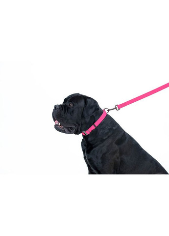 Поводок для собак WAUDOG Waterproof розовый водостойкий 25мм 122см для больших собак крепкий легкий ProDobro (373221424)