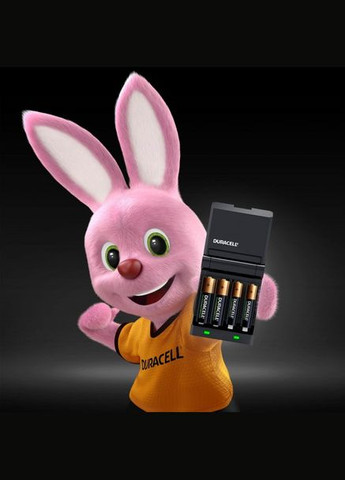 Зарядний пристрій CEF27+ 2AA1300 + 2AAА750 (6395538) Duracell (314982720)