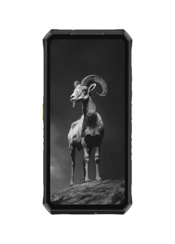 Смартфон Armor 28 Pro 16/512GB Epic Black Ulefone (360399429)