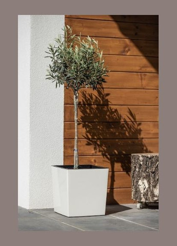 Кашпо 250x250 крем, пластик Lamela Юка (336551357)