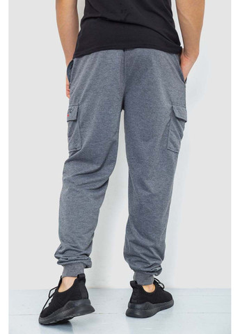 Серые спортивные демисезонные брюки Ager