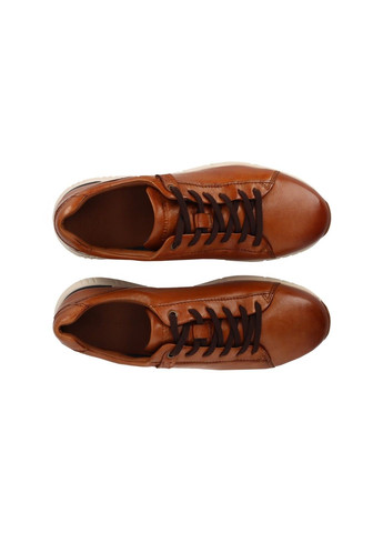 Коричневые мужские кеды коричневый Salamander