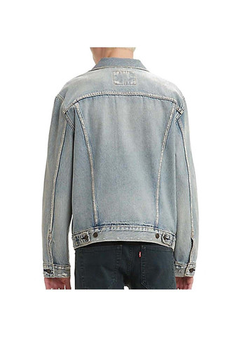 Голубая демисезонная куртка мужская Levi's