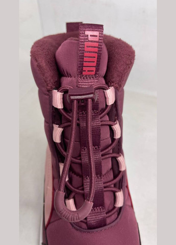 Черевики жіночі Puma evolve boot jr (307063197)