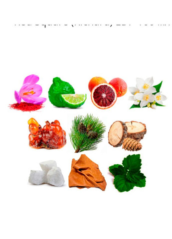 Парфюм Red Square EDP 100 мл Мужской Универсальный Древесный Восточный парфюм (8009) Richard (316093003)