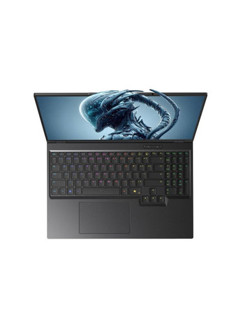 Ноутбук RX5090-16UA27 RX5090-16 16WQXGA, Intel U9-275HX, 32GB, F2TB, NVD5090-24, DOS, Dream Machines (361965451)