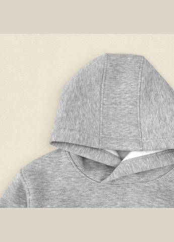 Дитячий костюм худі та штани Gray Сірий dexter's (298408298)