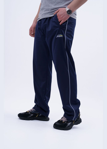 Синие демисезонные брюки Ut