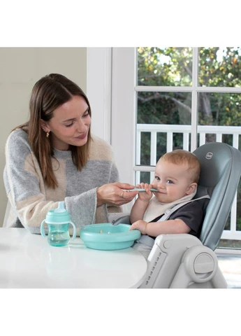 Ложка First Spoon, 8м+, (16100.25) Chicco (391543677)