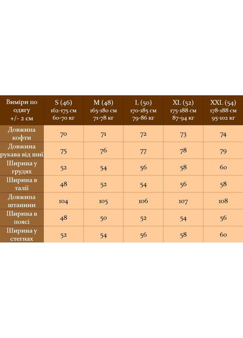 Мужской утепленный спортивный костюм на манжетах. No Brand (364869401)