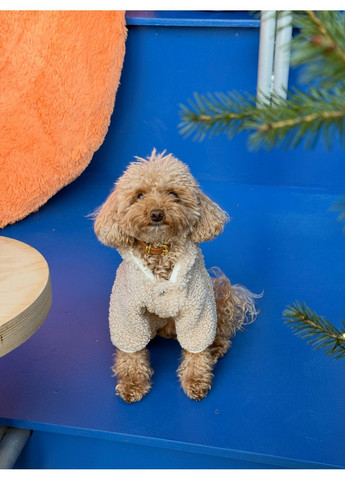 Комбінезон Тедді для собак Mateo (372478930)