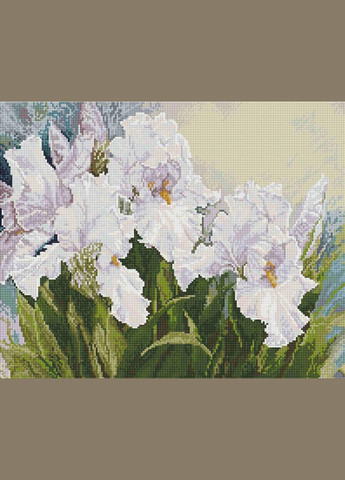 Цветы Белые ирисы 40х50 SP104 ColorArt (299772295)