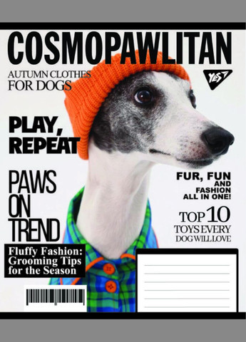 Тетрадь ученическая Animals fashion 767786 48 л. Разноцветный shop (4823092293848) Yes (345877214)