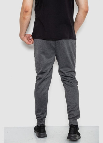 Темно-серые спортивные демисезонные брюки Ager