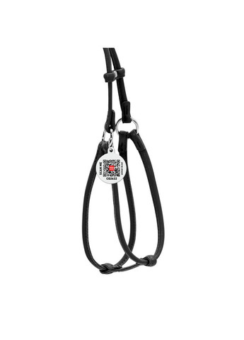 Шлея з повідцем для собак шкіряна Glamour з QR паспортом, кругла, Д 6 мм, А 42-60 см, В 46-64 см чорний WAUDOG (326836960)