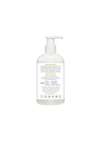 Шампунь для локонов (для вьющихся волос) Wash Day Curl Shampoo 355 мл Derma E (282428769)