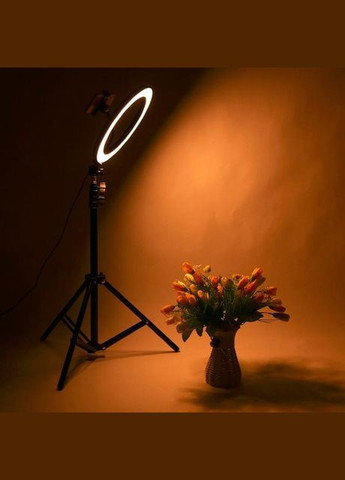 Лампа кольцевая светодиодная Led-YQ-460B с 3 держателями для телефона пультом 45 см (1756375330) No Brand (325402840)