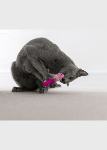 Игрушка для кошек Dental Shrimpies 2pk Mlt Дентал Креветки с кошачьей мятой 2 шт (pt67836) Petstages (332879112)