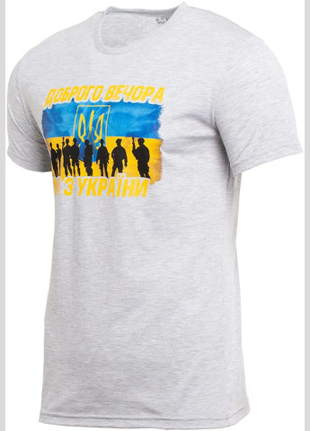 Серая футболка одежда ибис "добрый вечер" No Brand