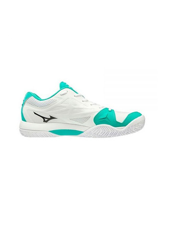 Цветные демисезонные кроссовки wave intense tour 5 clay court белый/черный/зеленый Mizuno