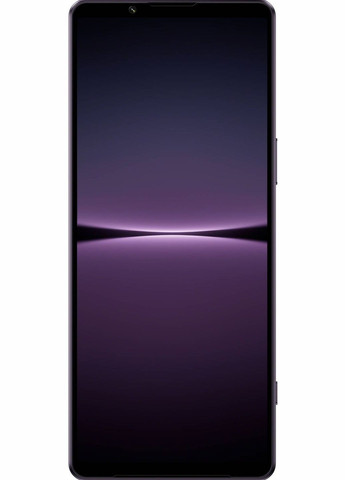 Смартфон 12/256GB (HK) Sony Xperia 1 IV (359404568)