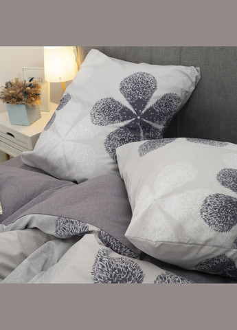 Комплект постільної білизни півтораспальний ранфорс Viluta 24269-pl (304976028)