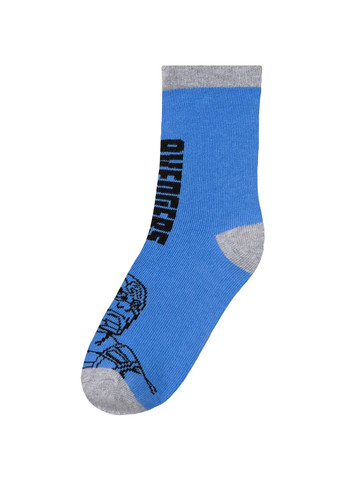 Шкарпетки для хлопчика Marvel (302804326)