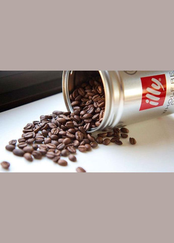Кава у зернах Arabica Selection India 250г. Illy (349812483)