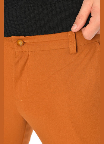 Штани чоловічі однотонні коричневого кольору Let's Shop (306426781)