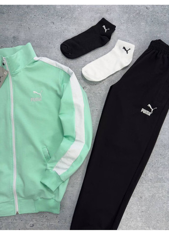Спортивний костюм пума No Brand (353827640)