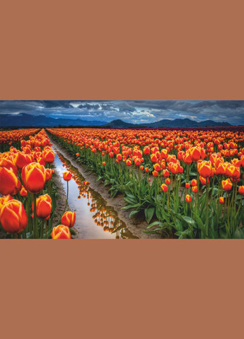 Картина-обогреватель "Долина тюльпанов" на пленке 105x60 см 300 Вт Monocrystal (315752398)