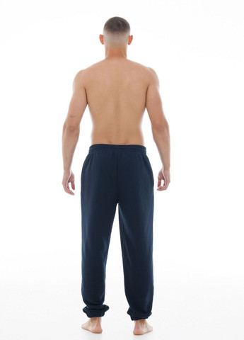 Темно-синие демисезонные брюки Наталюкс