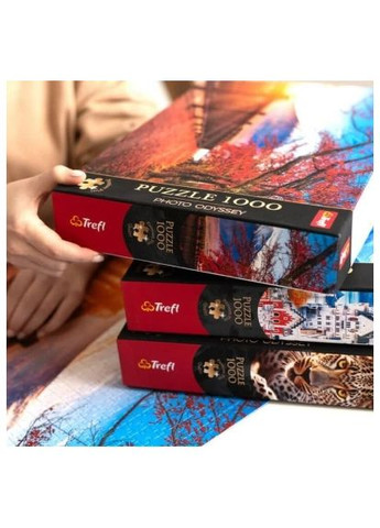 Пазл Premium Музей Боде в Берліні, Німеччина 1000 елементів (5900511108125) Trefl Premium Музей Боде в Берліні, Німеччина 1000 елеме (366066372)