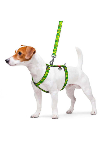 Шлея для собак анатомическая H-образная Nylon Авокадо пластиковый фастекс L Ш 25 мм А 50-90 В 60-100 WAUDOG (292175219)