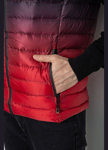 Жилетка чоловіча демісезонна Ager 244RC999 (313862843)