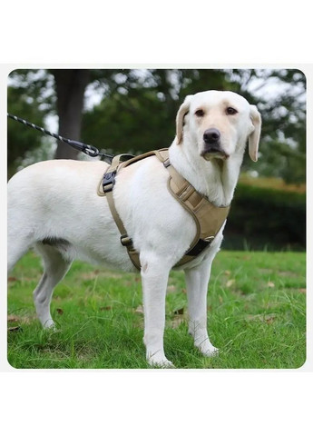 Шлея для собак Duomm Teg с держателем для GPS-трекера, светоотражающая регулируемая Коричневый, S No Brand (373444020)